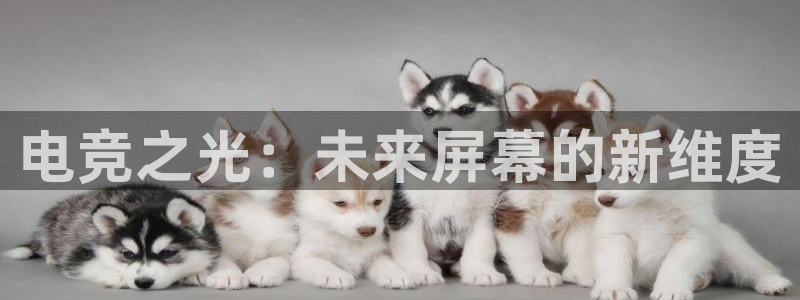 火狐电竞官方网站