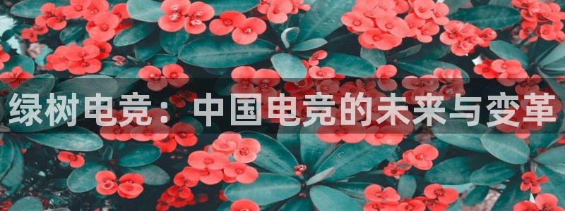 火狐电竞平台官网：绿树电竞：中国电竞的未来与变革