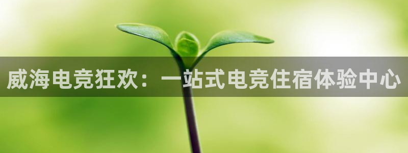 火狐电竞登录app：威海电竞狂欢：一站式电竞住宿体验中心